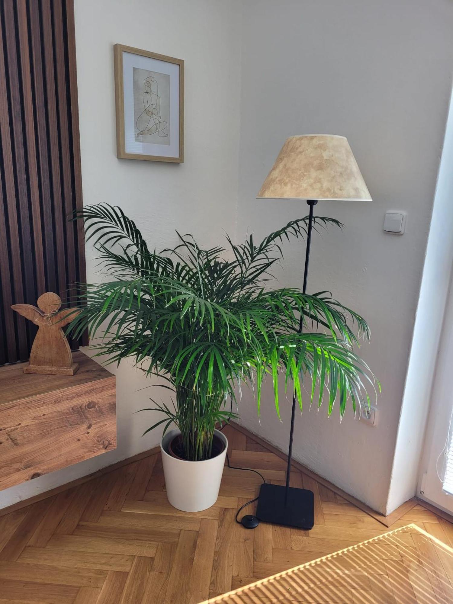 Novy Apartman Eva Jičín Kültér fotó
